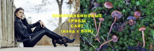 прущая мука Абинск