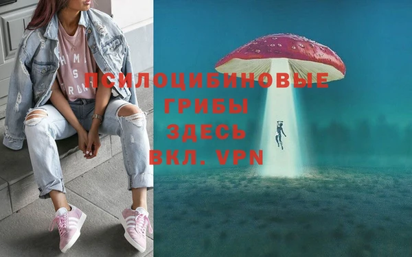 спайс Мегион